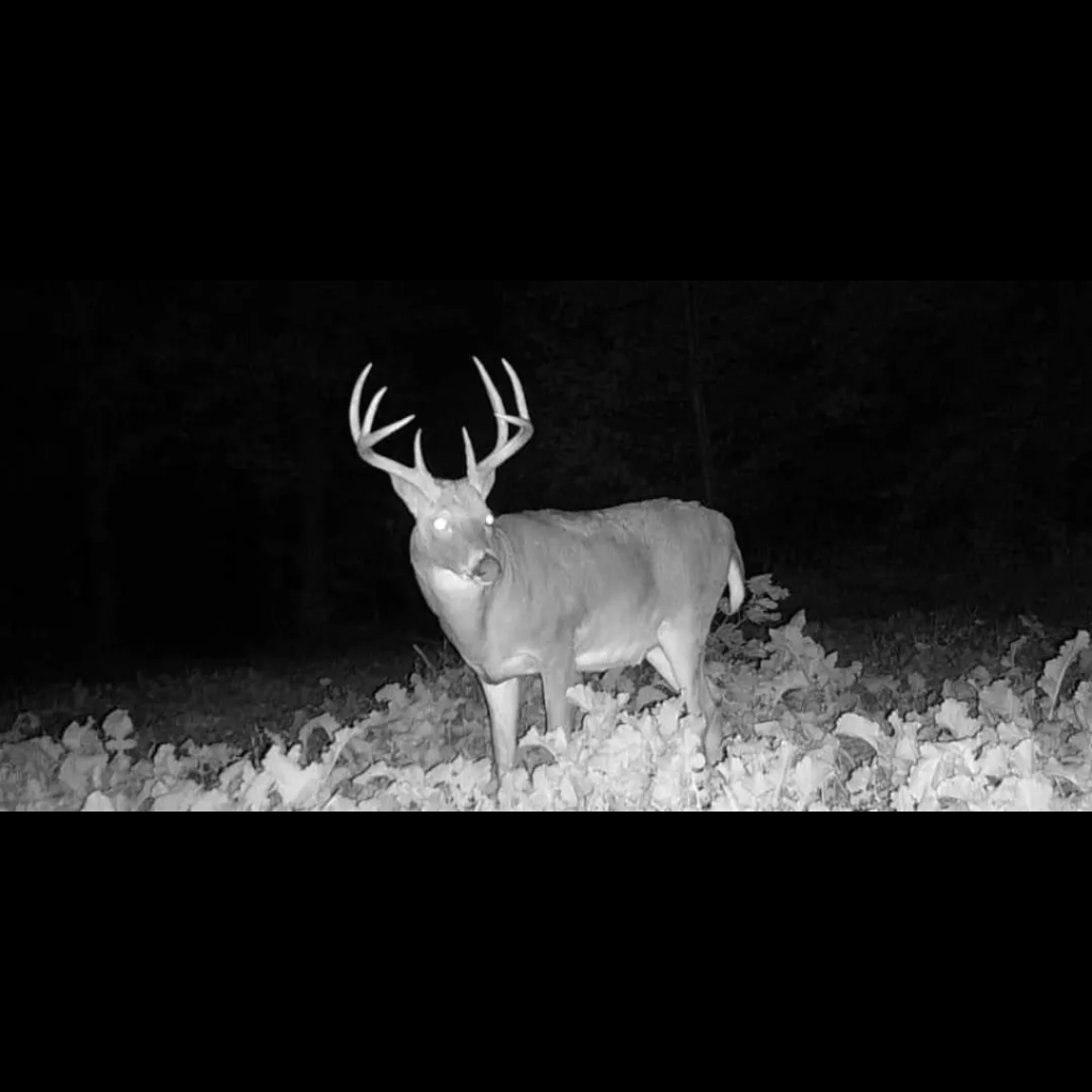 Visionner Night Vision Goggles