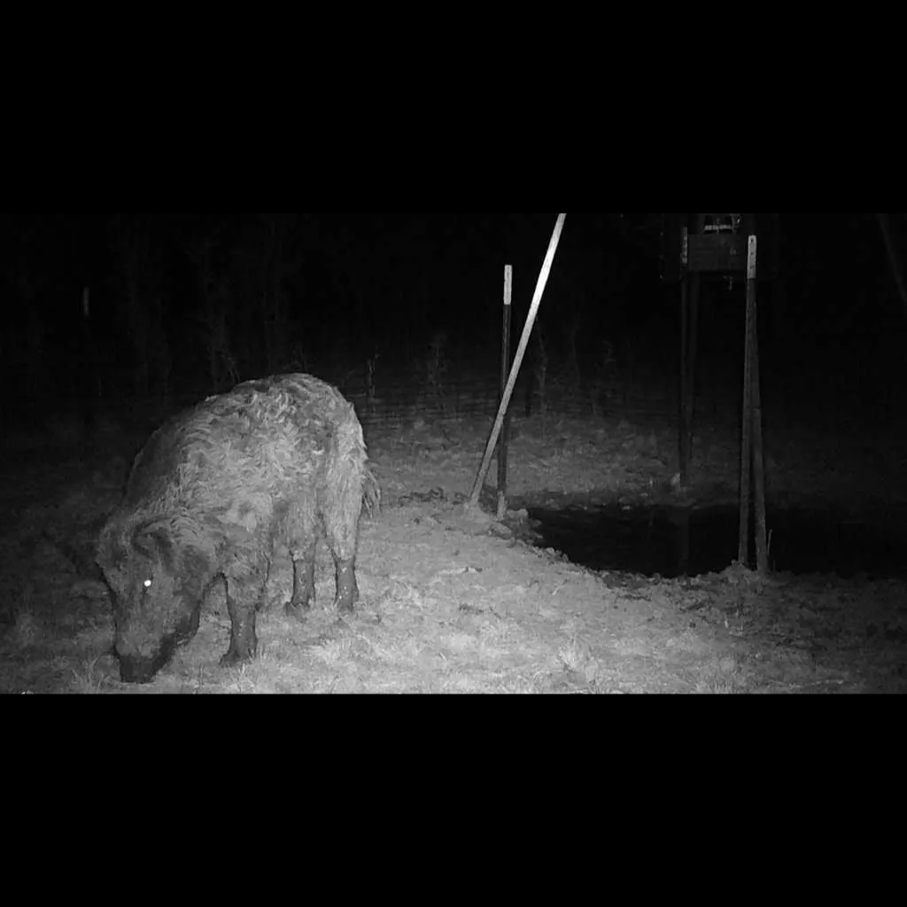 Visionner Night Vision Goggles