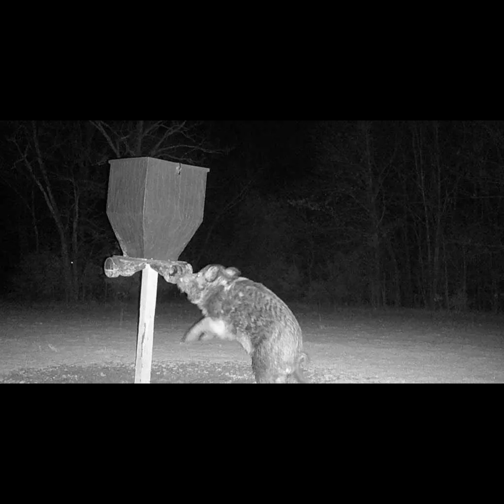 Visionner Night Vision Goggles