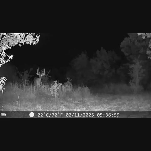 Visionner Trail Camera